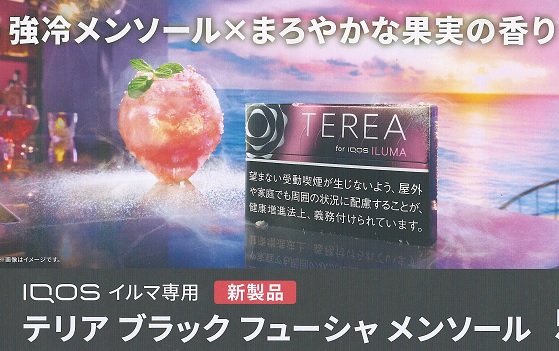 画像: テリア・ブラック・フューシャ・メンソール　 １カートン(１０個)単位で取り寄せ商品　