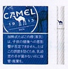 画像1: キャメル・リッチ・プルーム用（日本）カートン（10個）単位で取り寄せ商品　