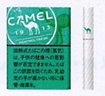 画像1: キャメル・メンソール・フレッシュ・プルーム用（日本）カートン（10個）単位で取り寄せ商品　