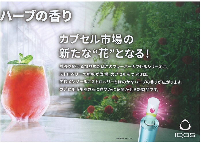 画像: テリア・ブロッサムパール・パール　１カートン(１０個)単位で取り寄せ商品2026/5/13新発売