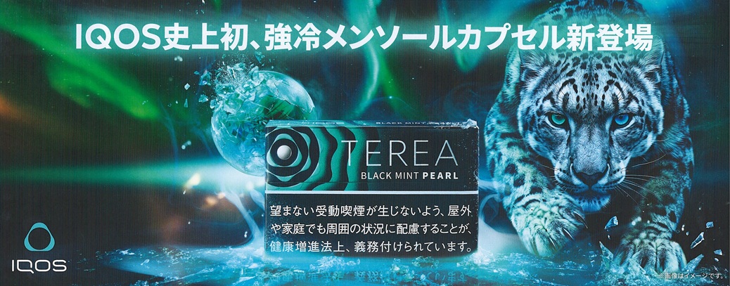 画像: テリア・ブラック・ミント・パール　１カートン(１０個)単位で取り寄せ商品2026/10/16新発売。予約受付ますが、発送は入荷後になります。